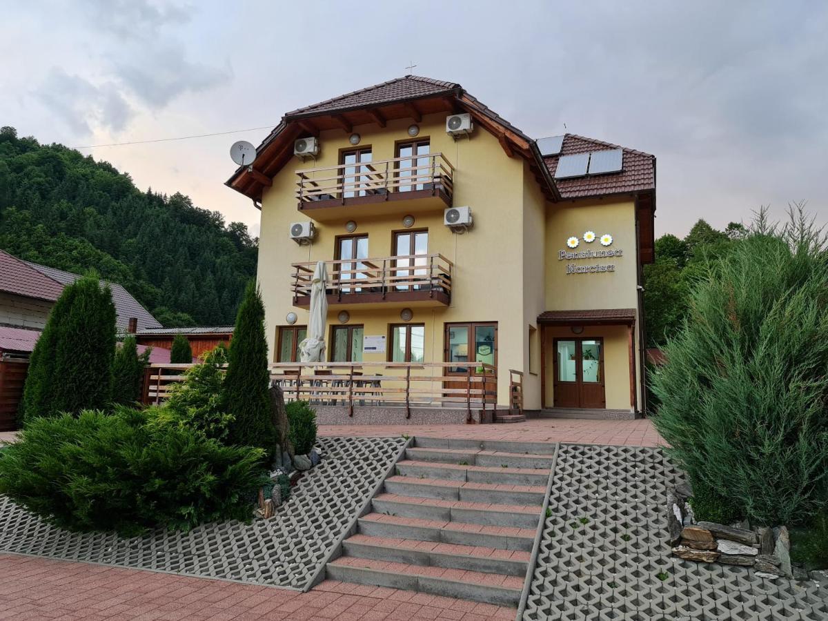 Pensiunea Narcisa Romuli Exterior foto