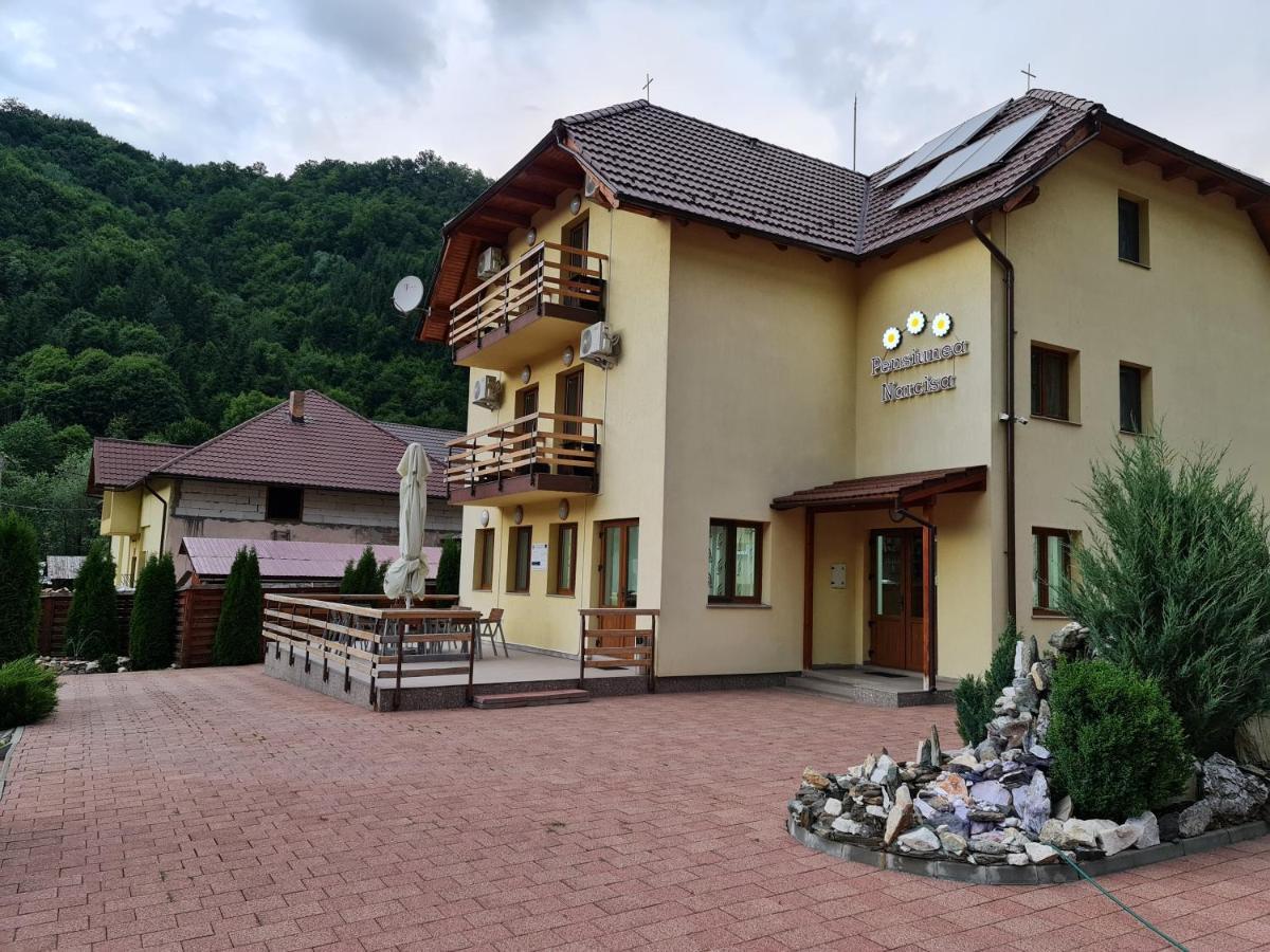 Pensiunea Narcisa Romuli Exterior foto