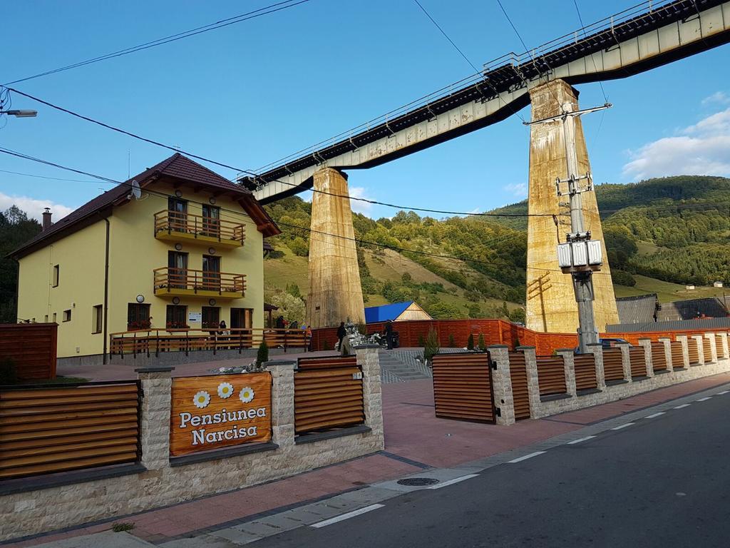 Pensiunea Narcisa Romuli Exterior foto